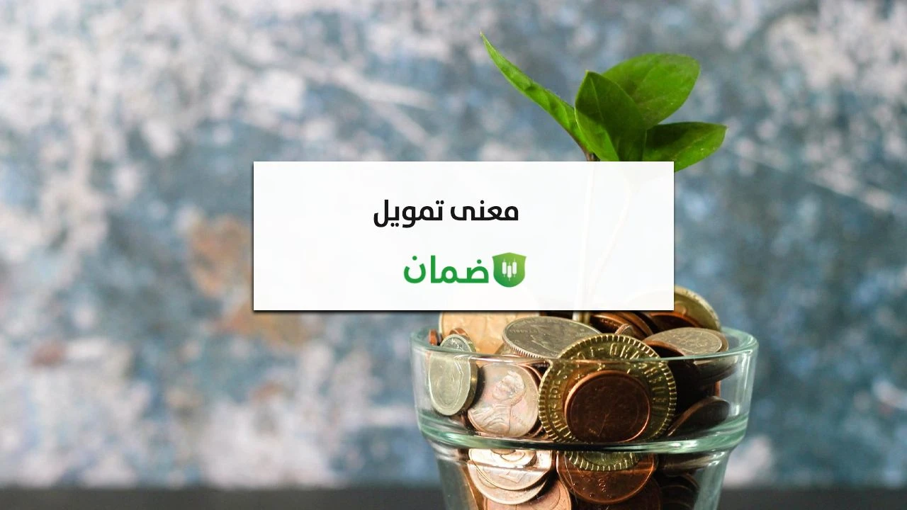 معنى التمويل image